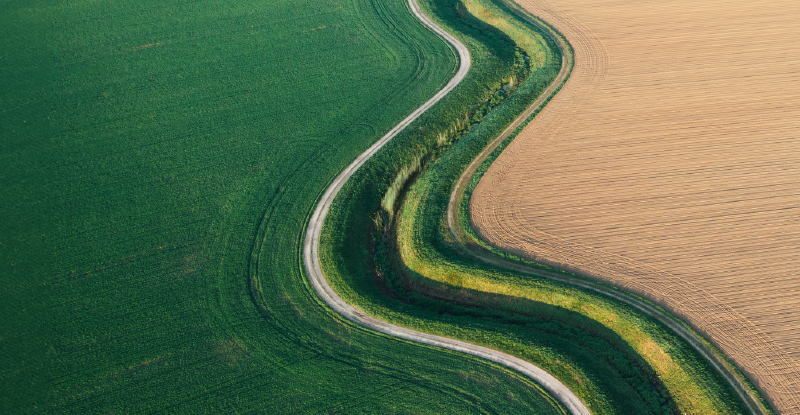 PD Learning Pathways: Charting Your PD Journey With a Tailored Learning Guide