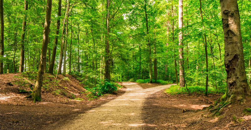 Lifelong learning – where are you in your journey?