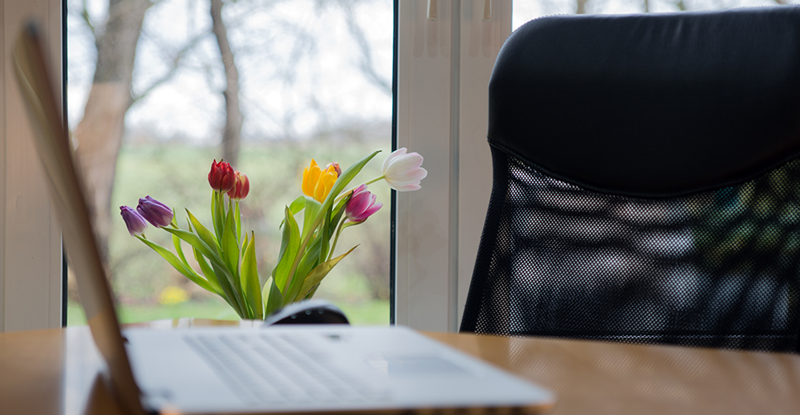 Fresh Learning Has Arrived – Explore Our Newest Courses