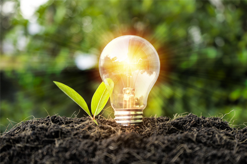 Resilient-Leadership-Certificate-Program