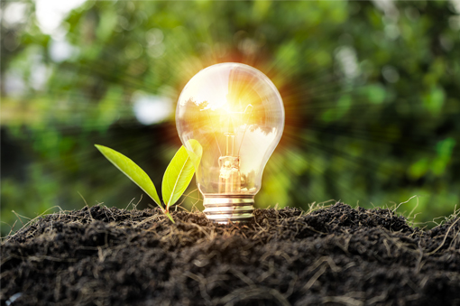 Advanced Resilient Leadership Certificate Program