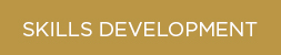 Skills-Development
