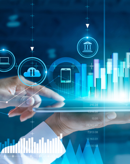 Information Technology Insights