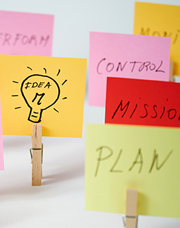 Public Practice Insights