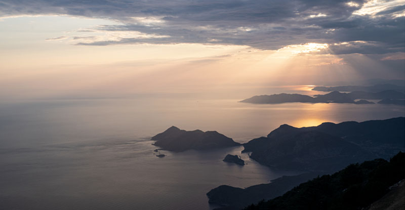 Insights in Working with Indigenous Businesses