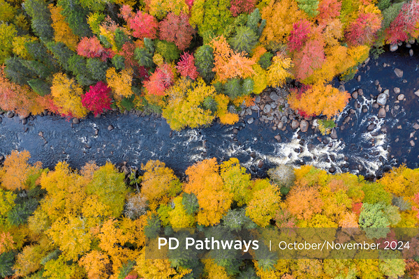 PD Pathways