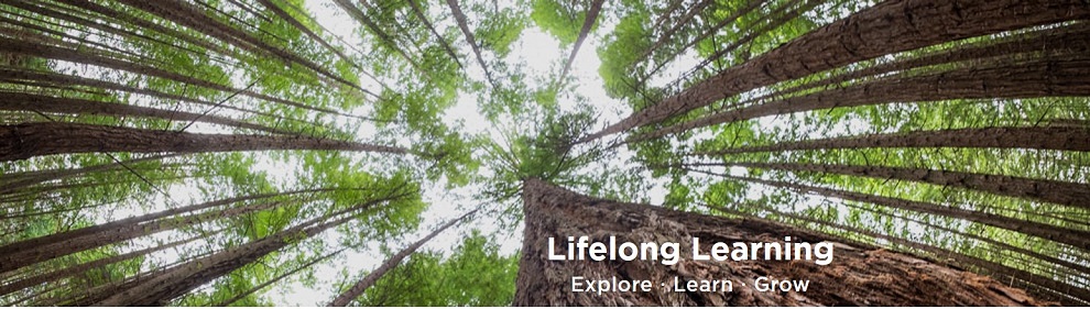 Lifelong Learning - Explore, Learn, Grow