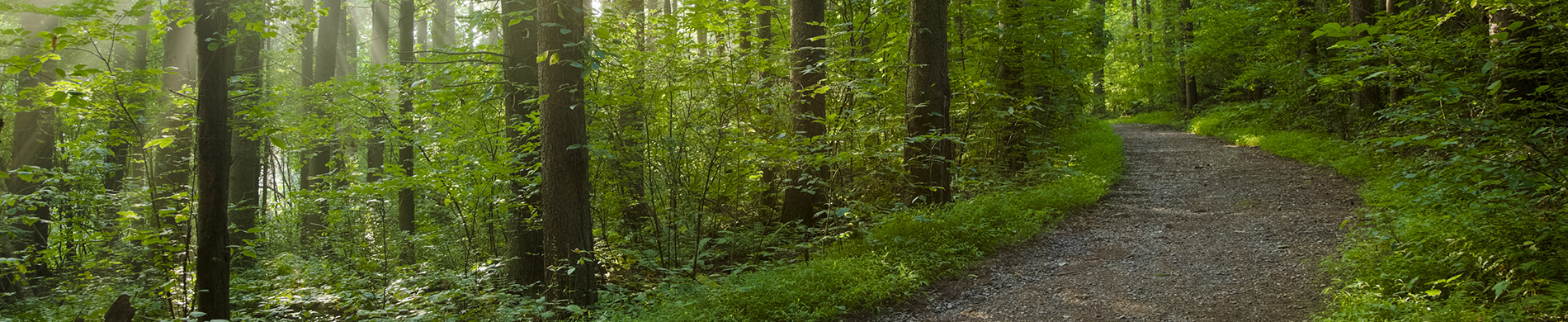 Page Banner