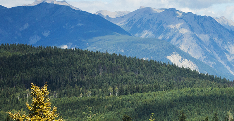 4 Seasons of Reconciliation – New Course Available Now