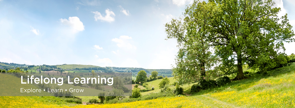 Lifelong Learning